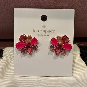 NWT Kate Spade Vibrant Pink and Gold Earrings Studs